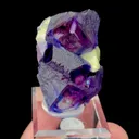 specimen video