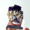 specimen video