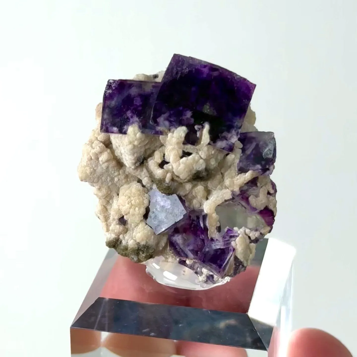 specimen video