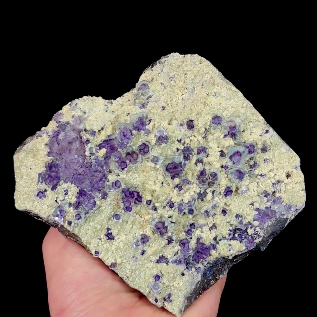 specimen video