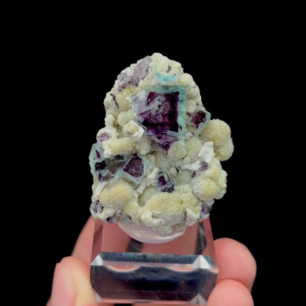 specimen video