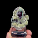 specimen video