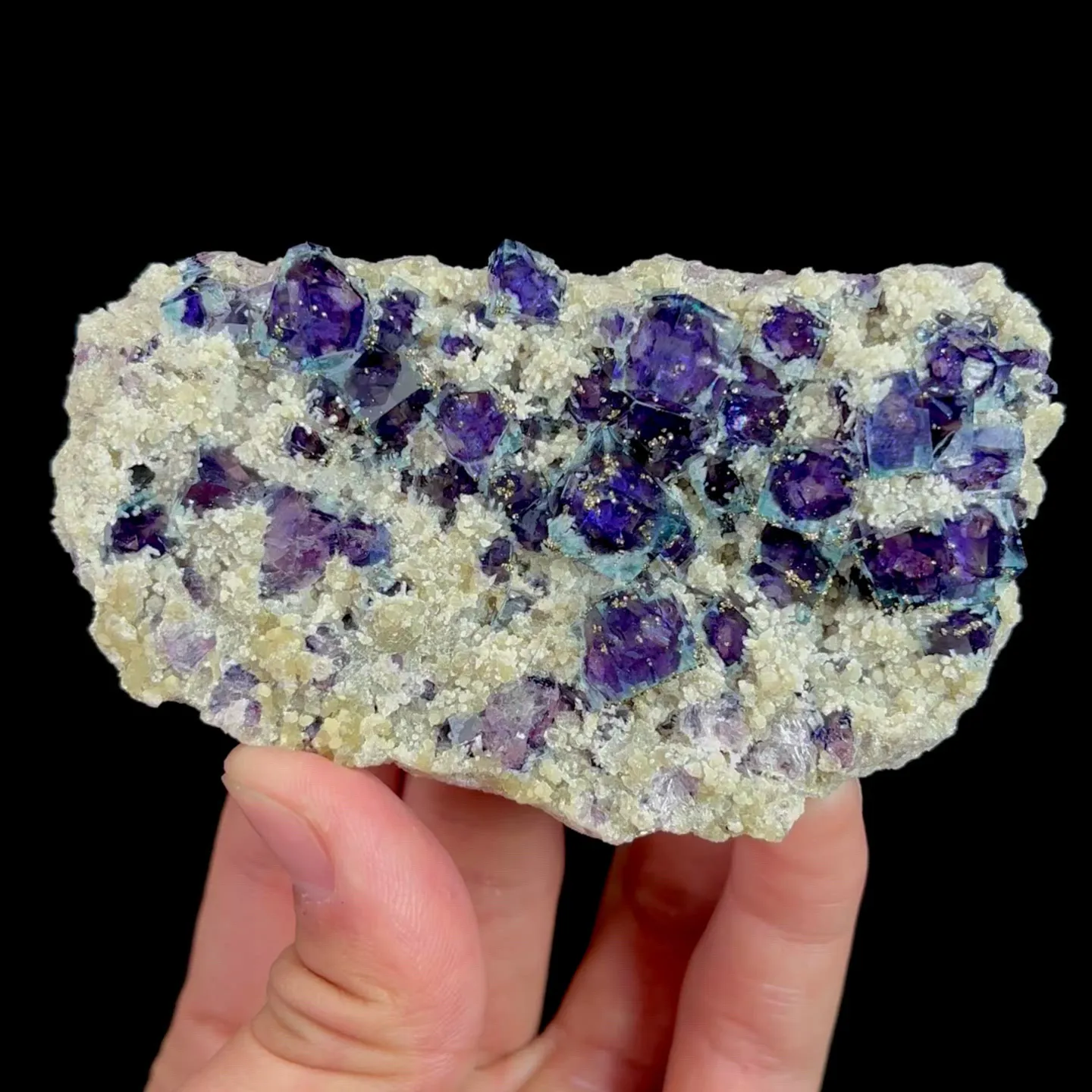 specimen video