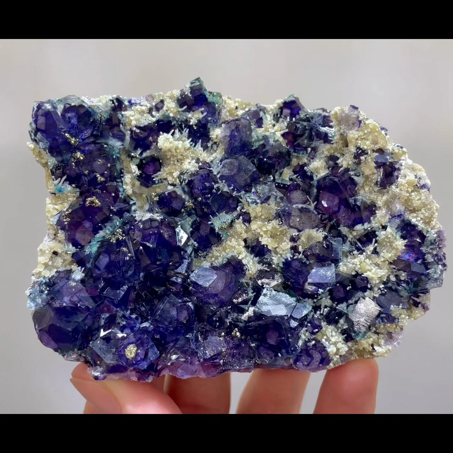 specimen video