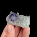 specimen video