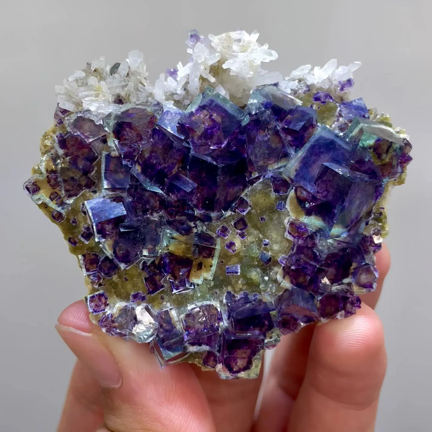 specimen video