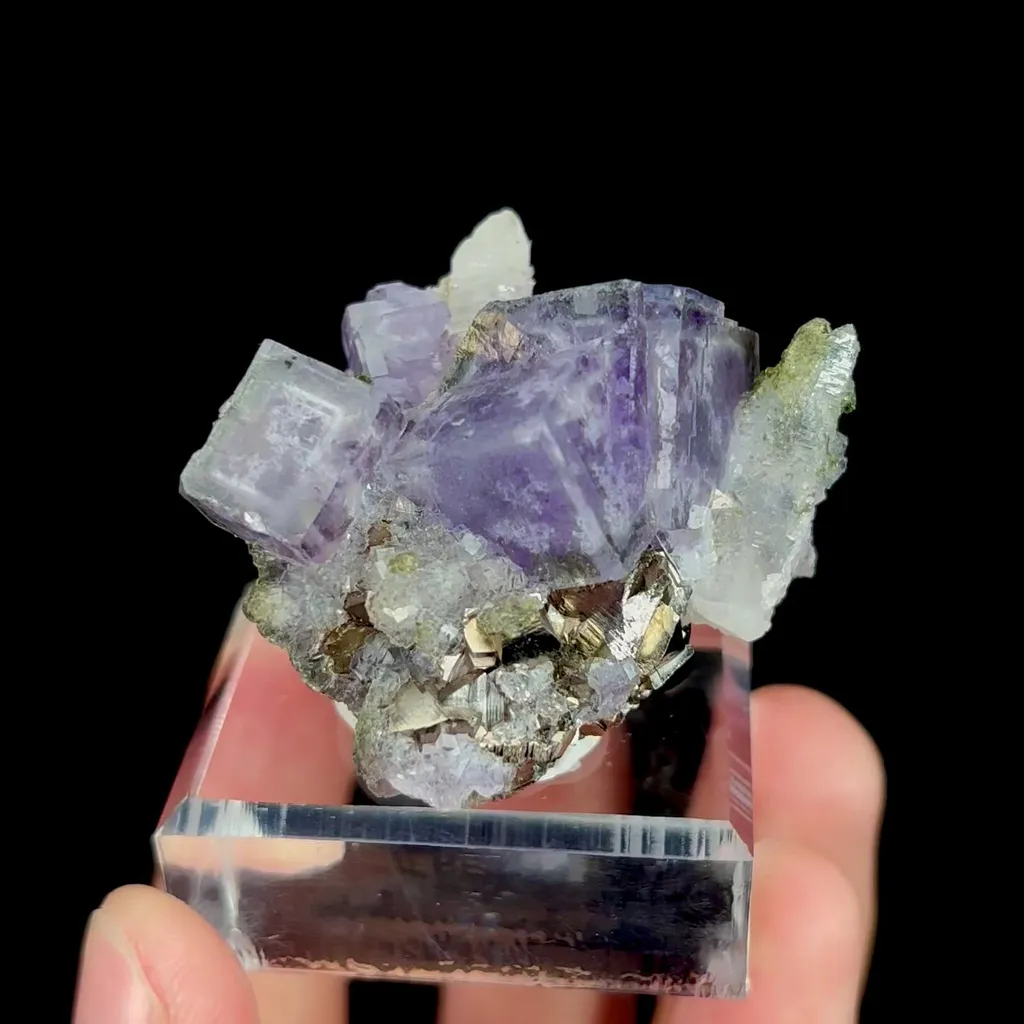 specimen video