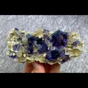 specimen video