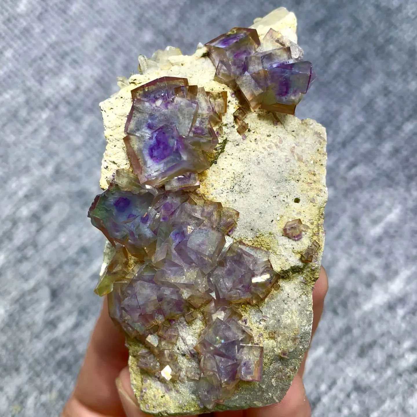specimen video