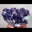 specimen video