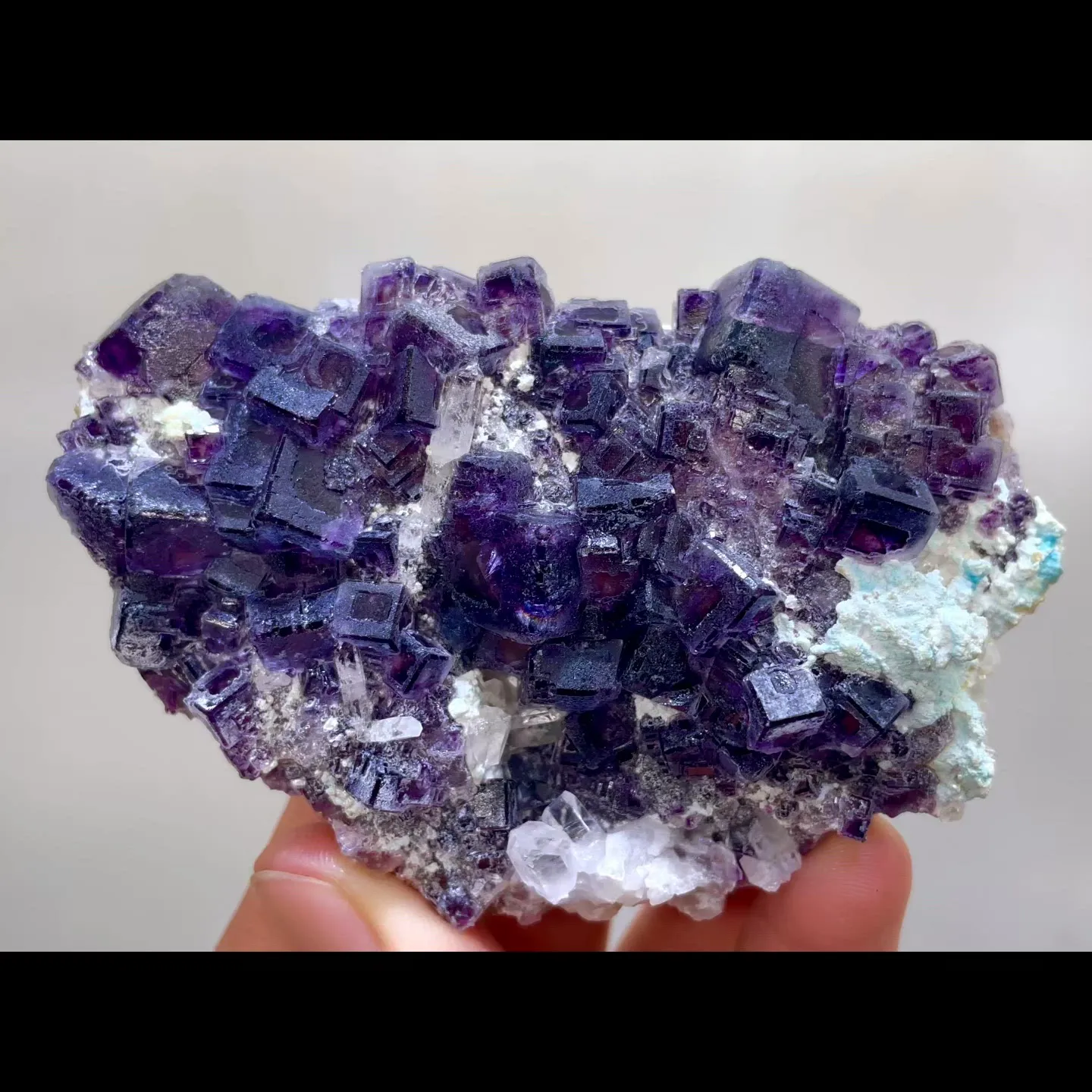 specimen video