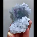 specimen video