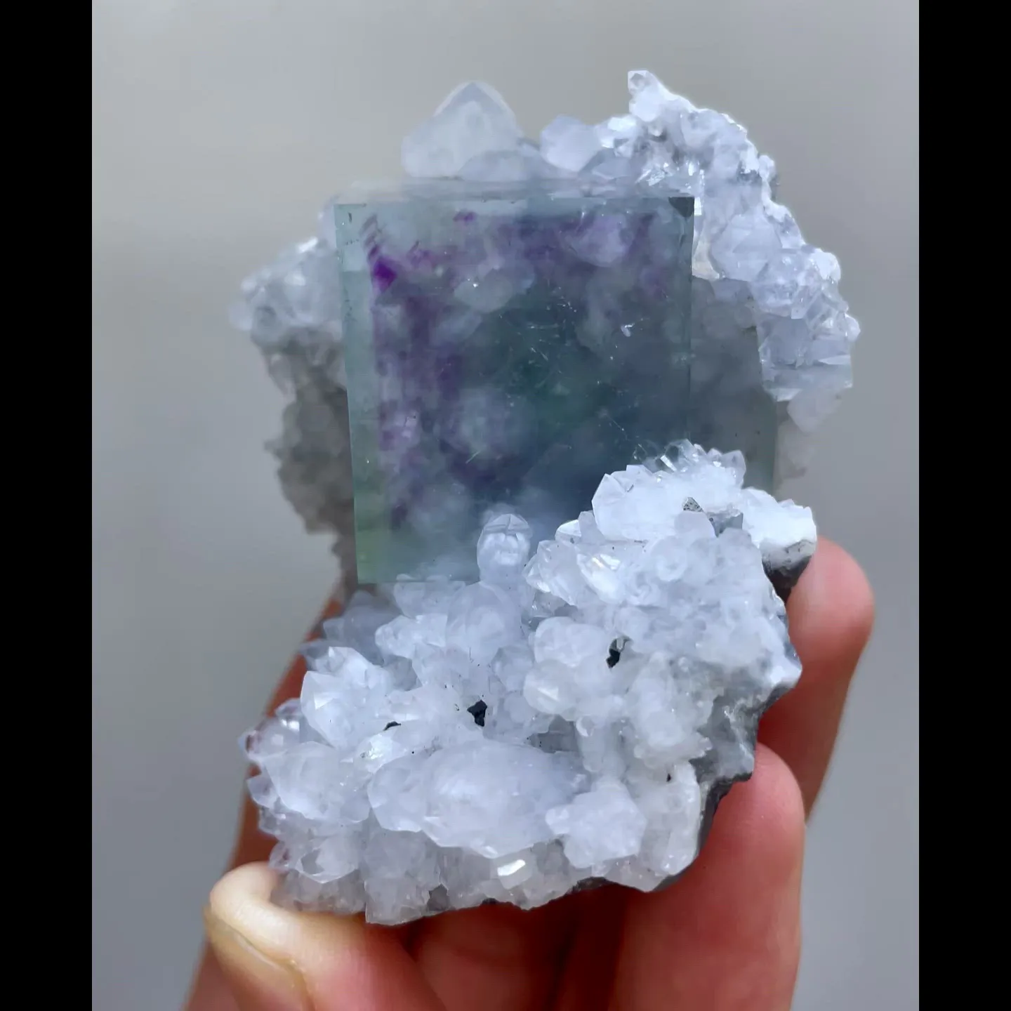 specimen video