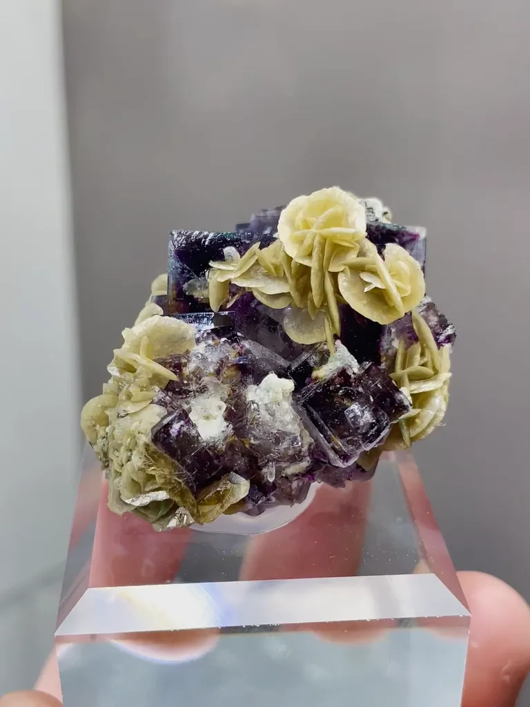 Natural Purple Phantom Fluorite and Siderite coexist comes from Yindu，Inner Mongolia 35*30*25MM image