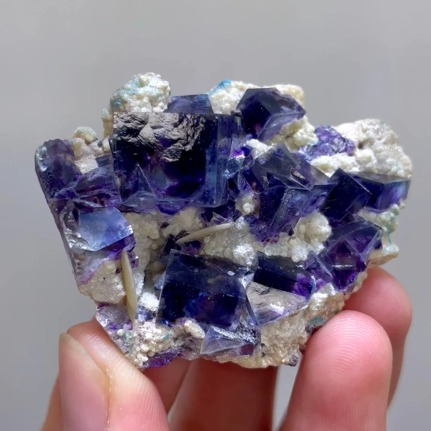 specimen video