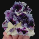 specimen video