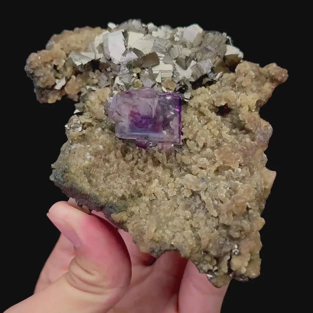specimen video