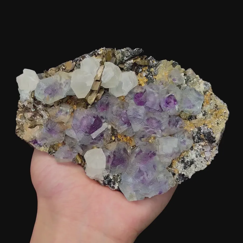 specimen video