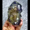 specimen video