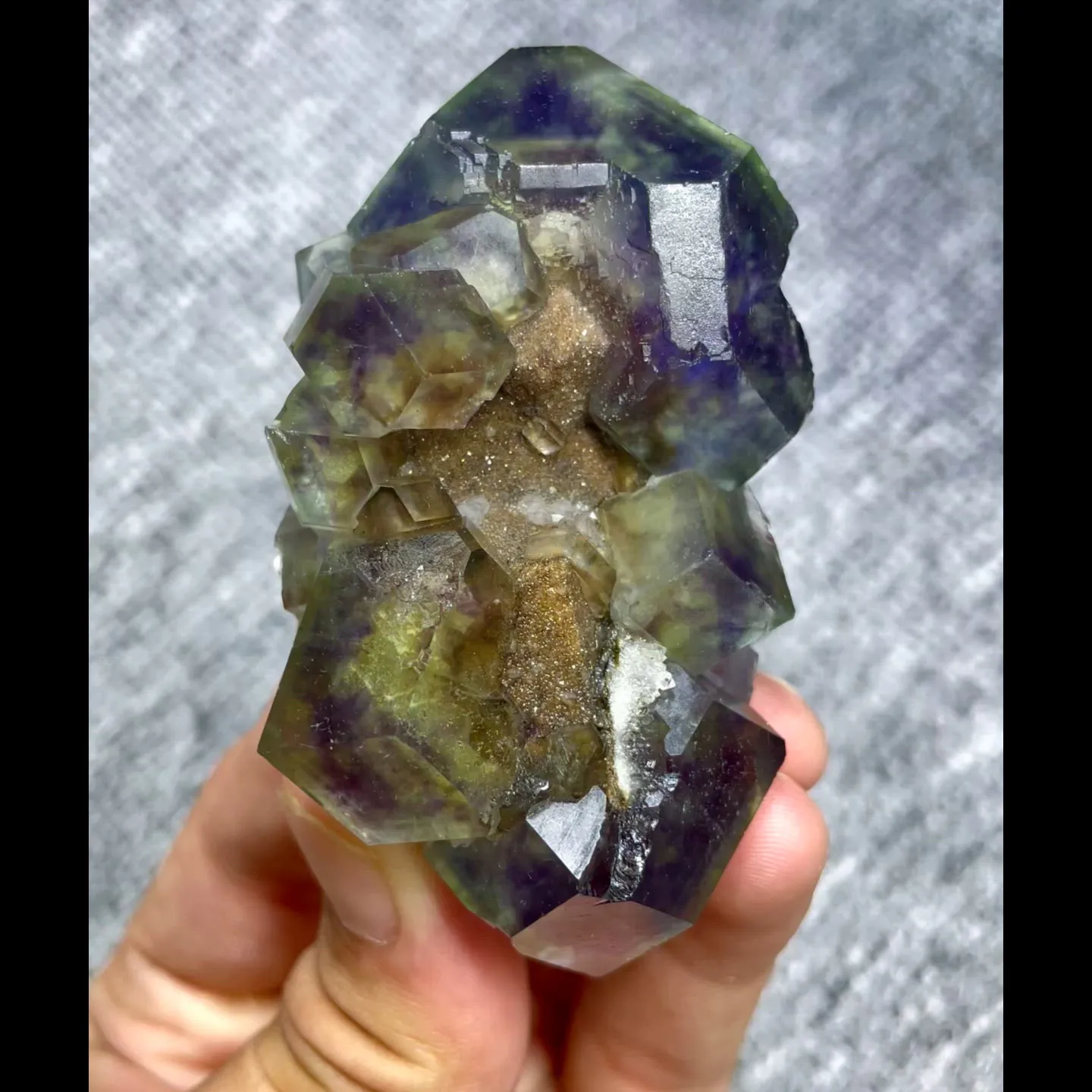 specimen video