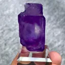 specimen video