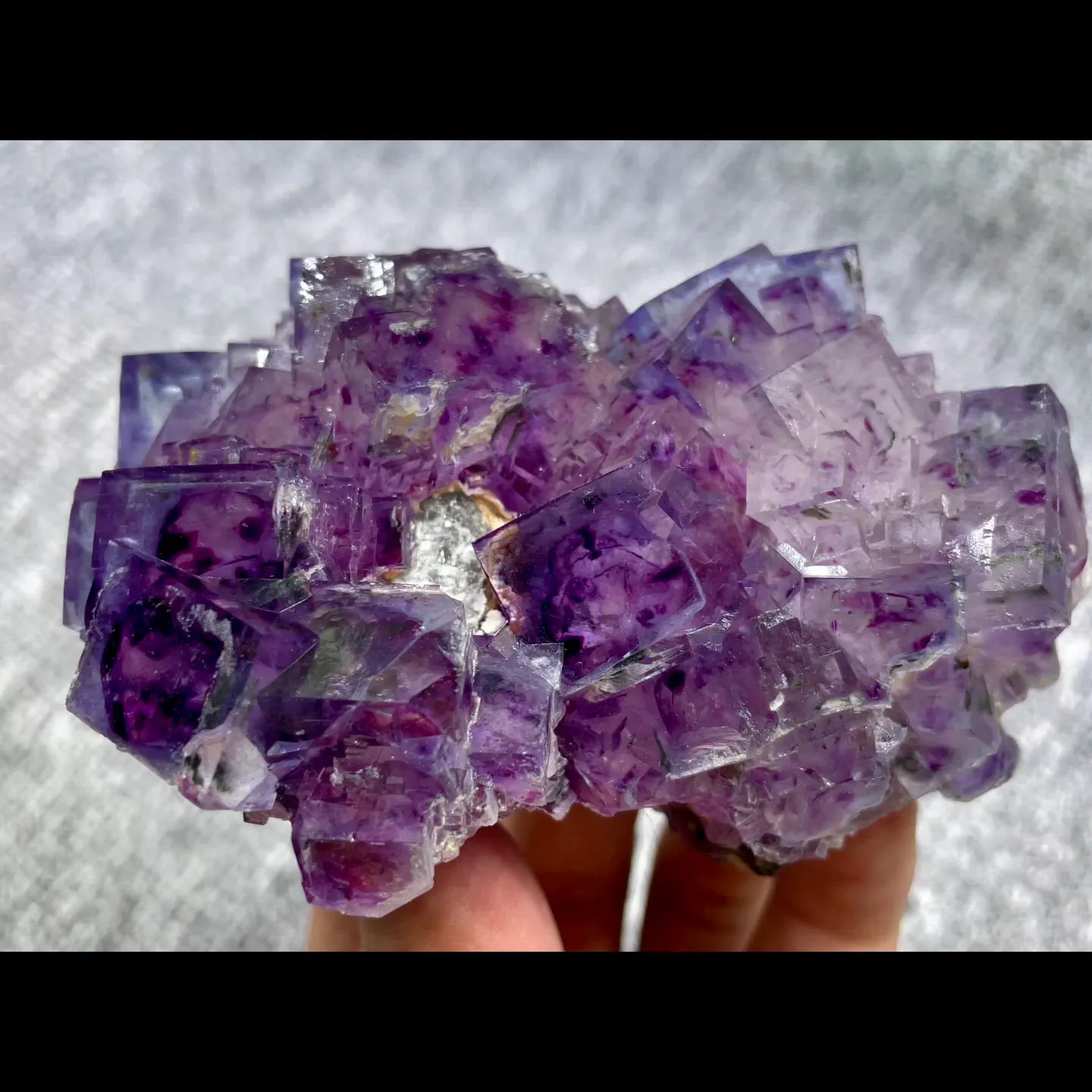 specimen video
