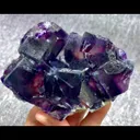 specimen video