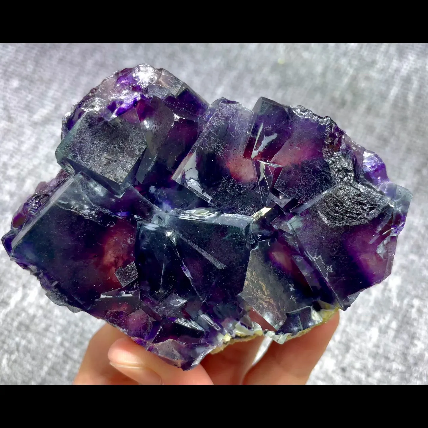specimen video