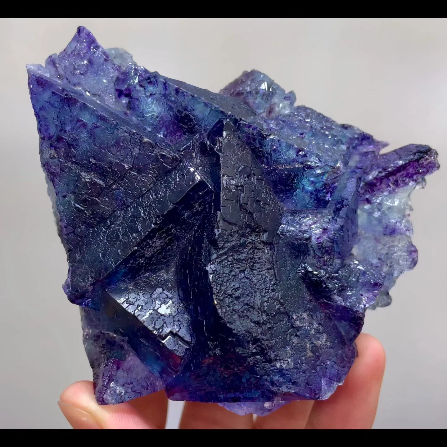 specimen video