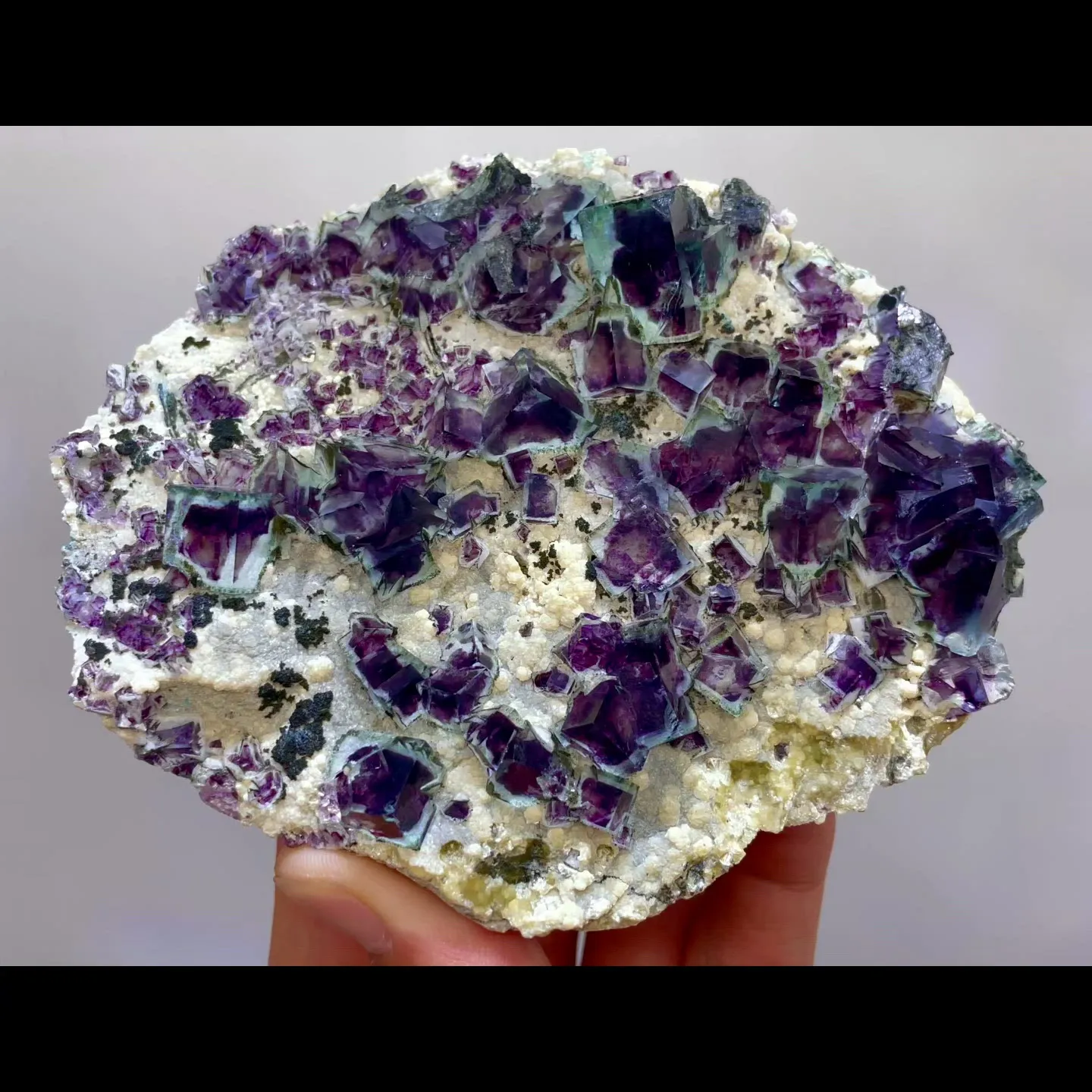 specimen video