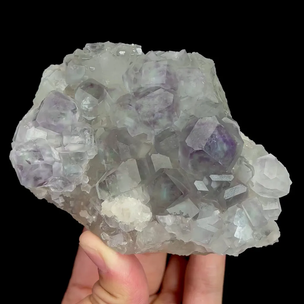 specimen video
