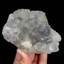 specimen video