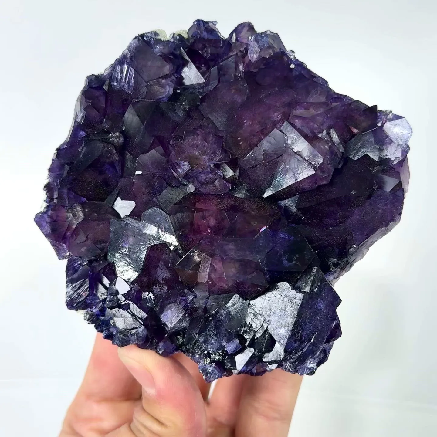 specimen video