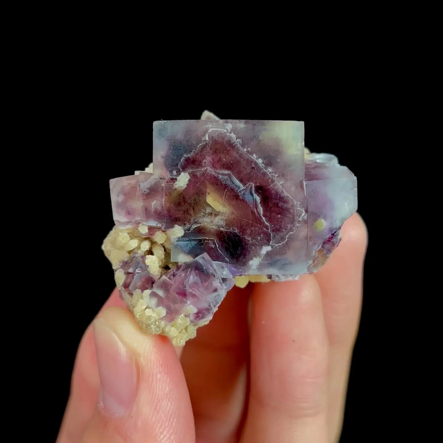 specimen video