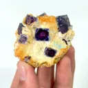 specimen video