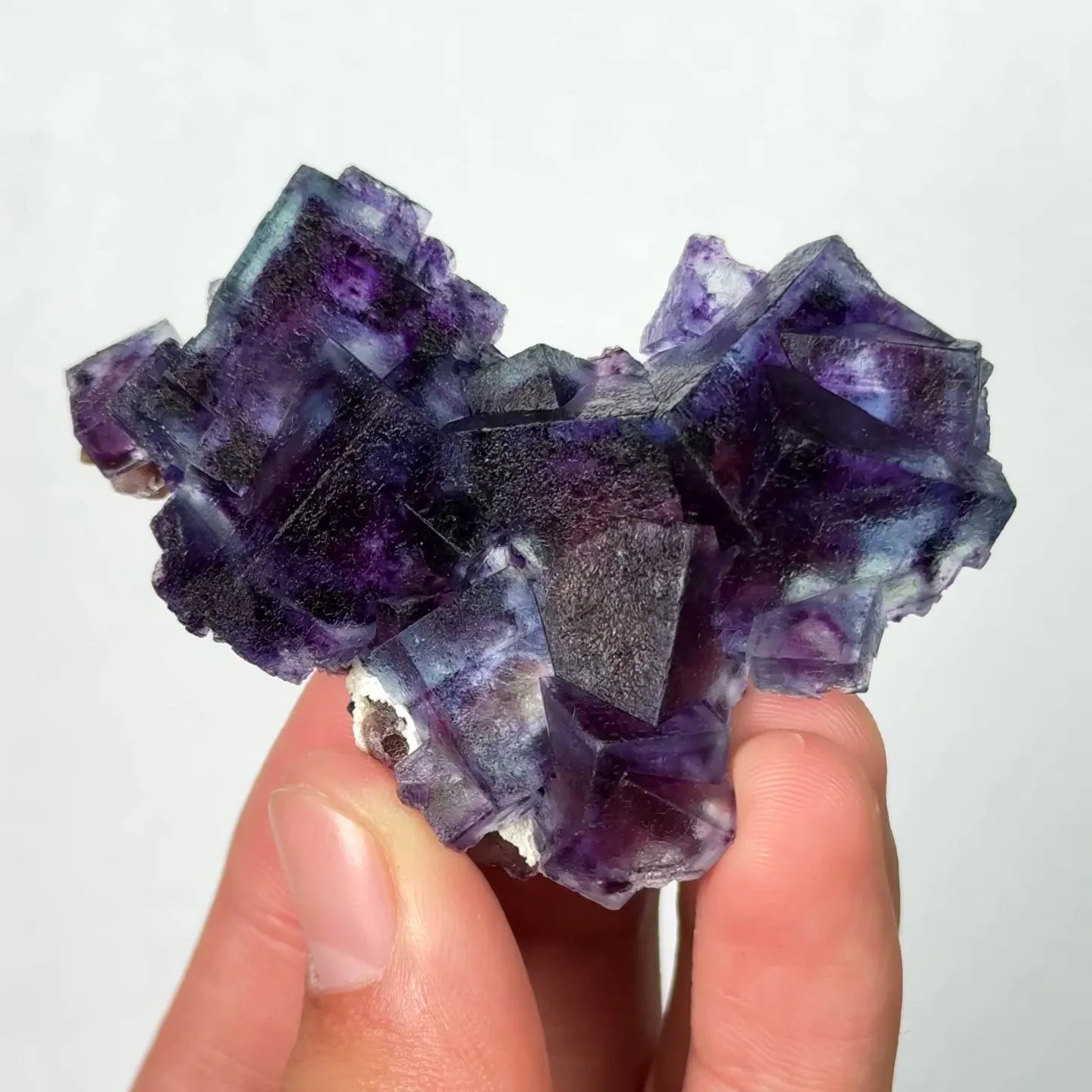 specimen video