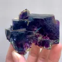 specimen video