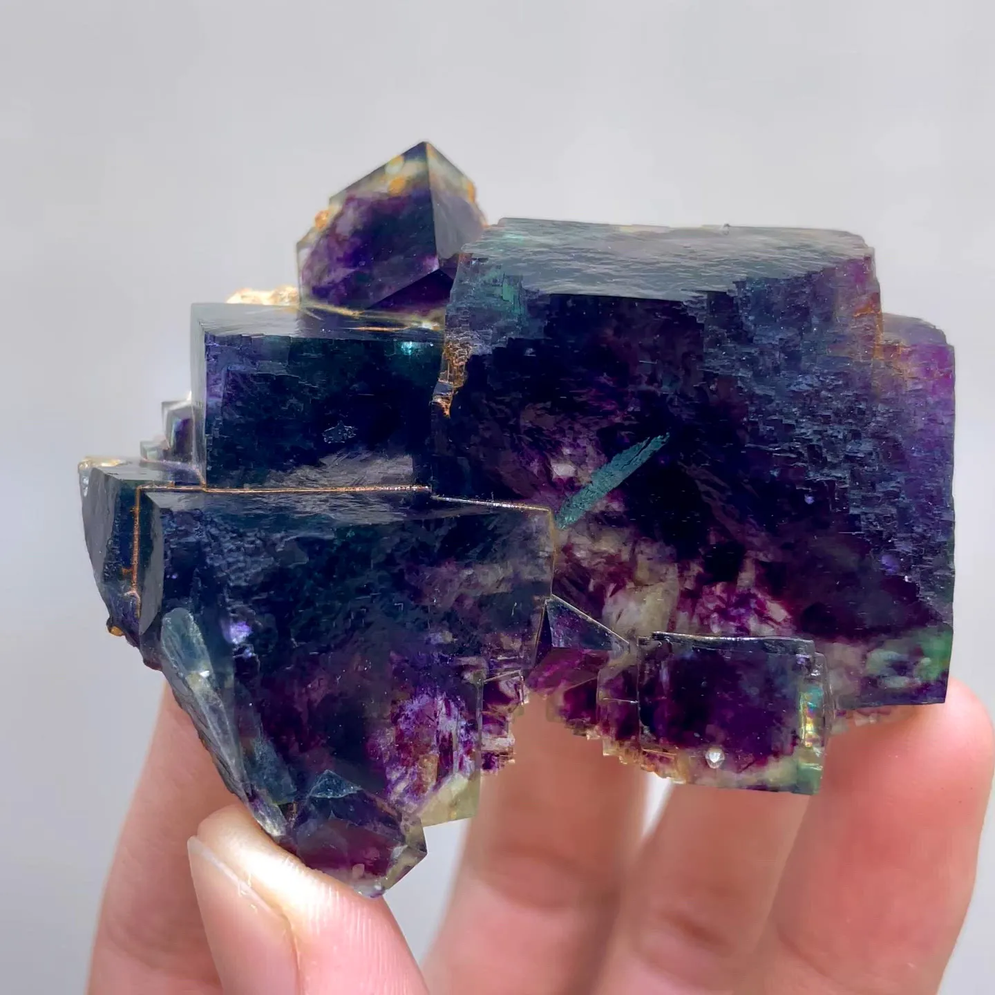 specimen video