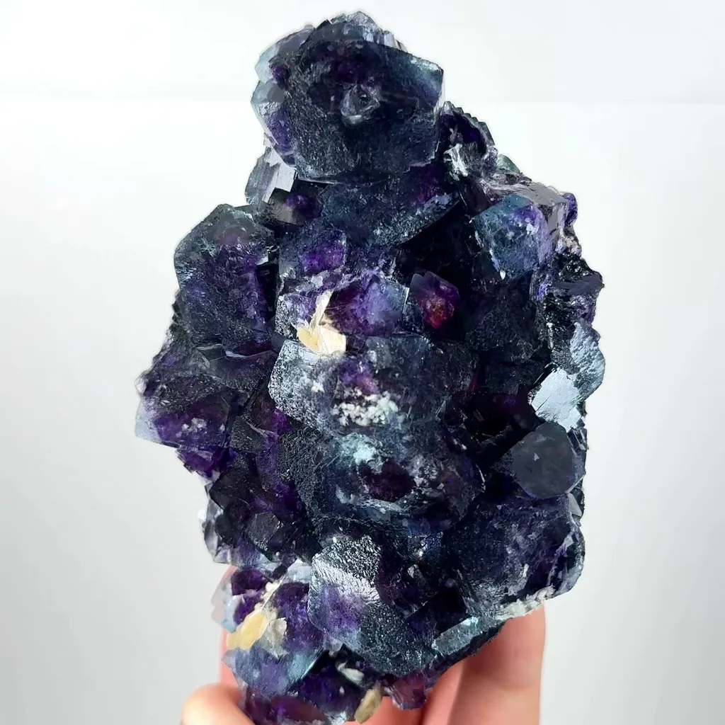 specimen video
