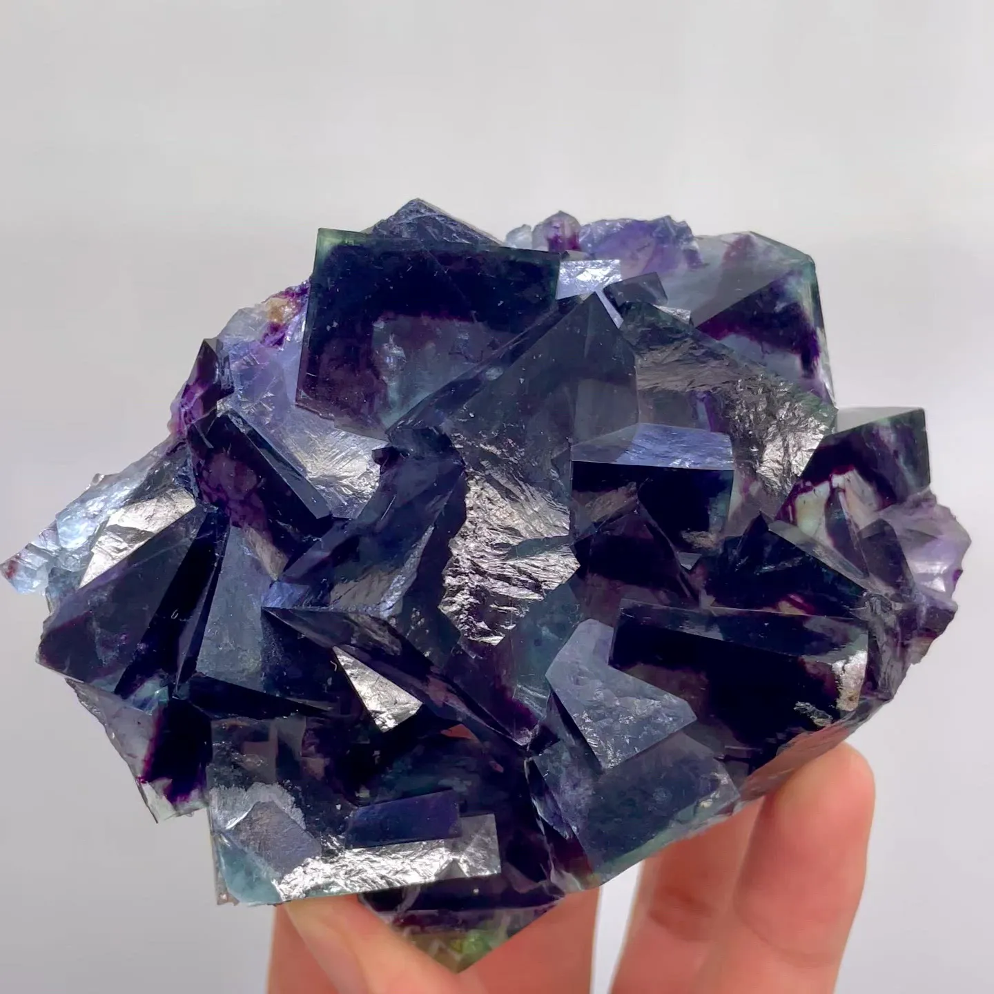 specimen video