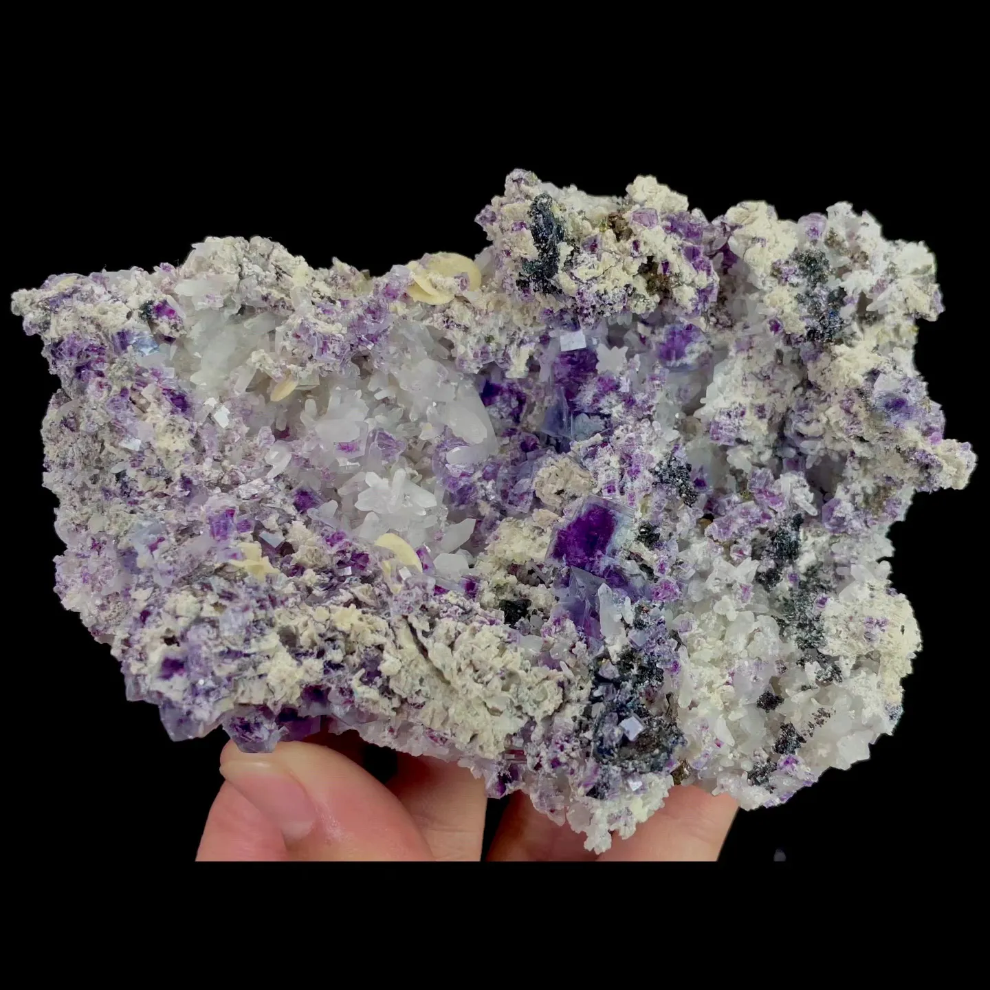 specimen video