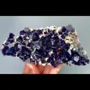 specimen video