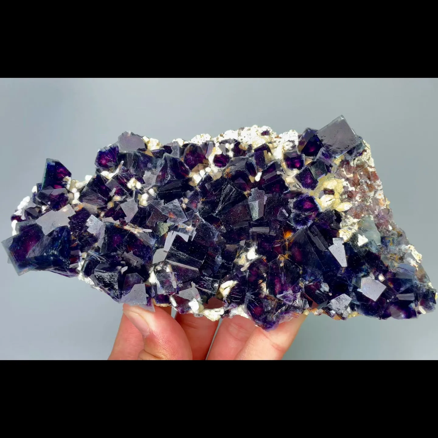 specimen video