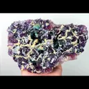specimen video