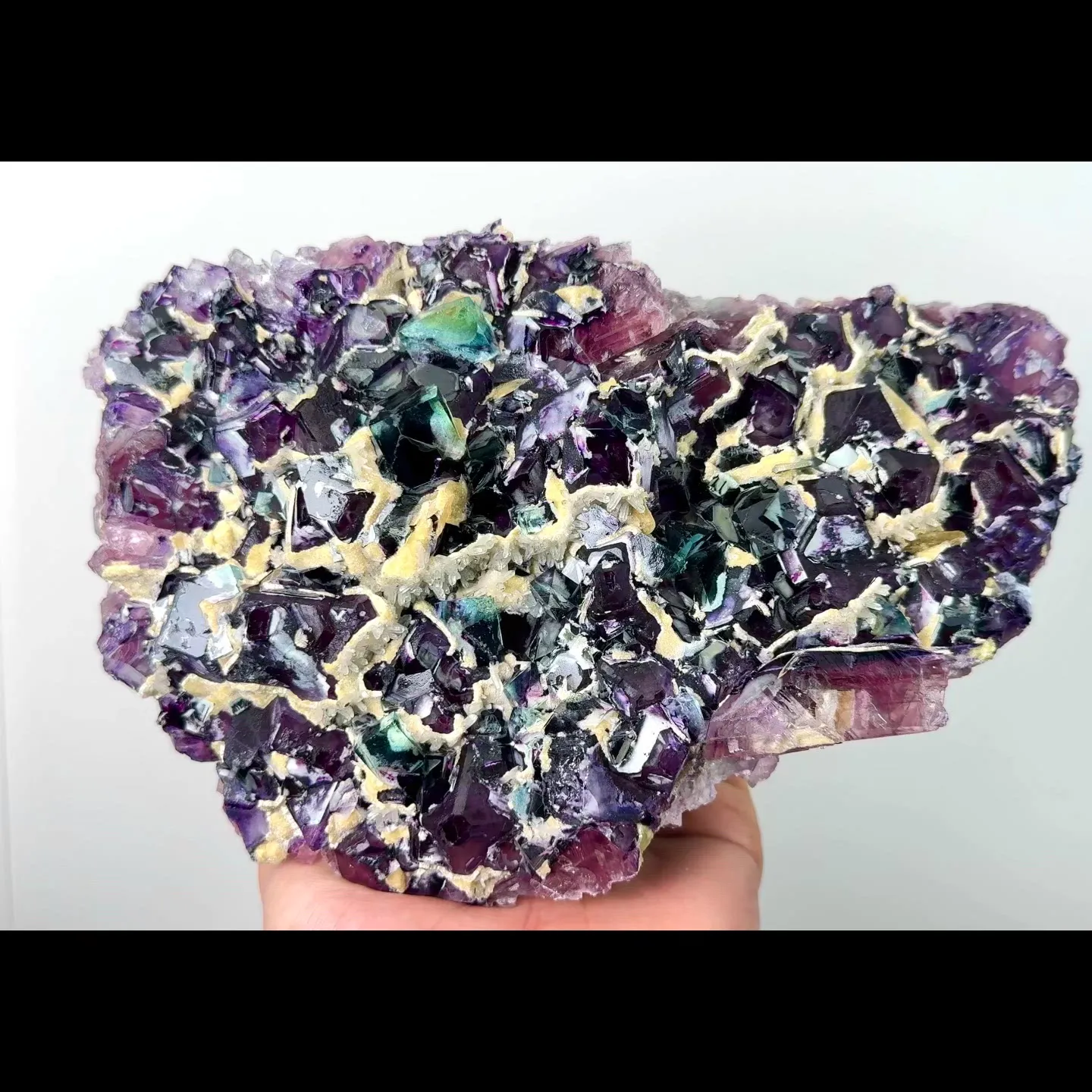 specimen video
