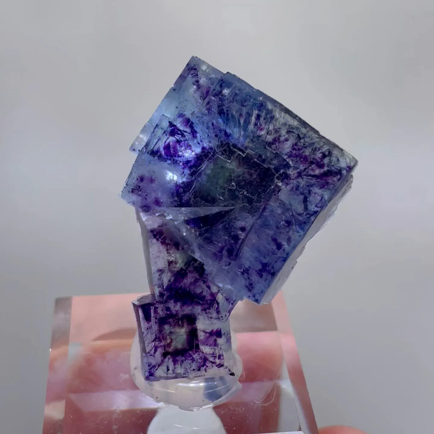 specimen video
