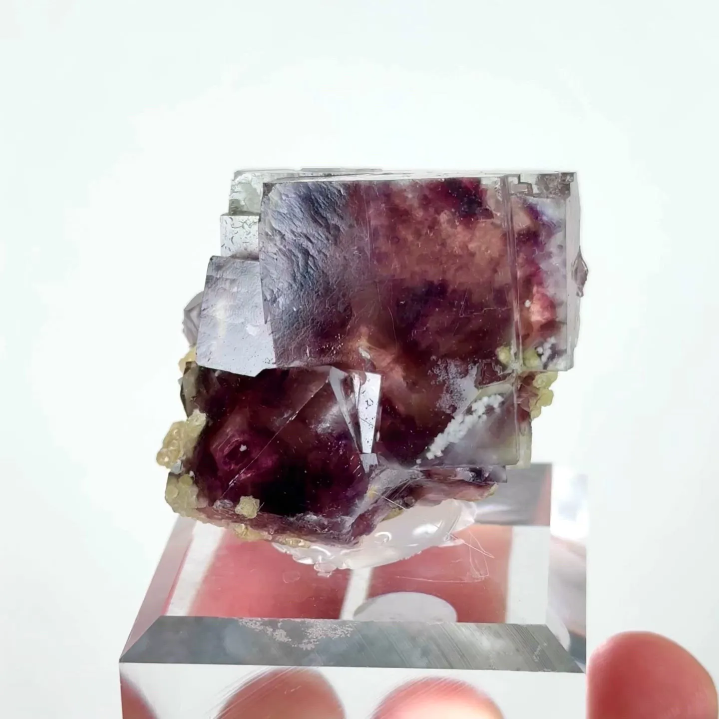 specimen video