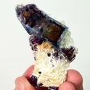specimen video