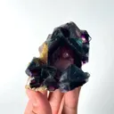 specimen video