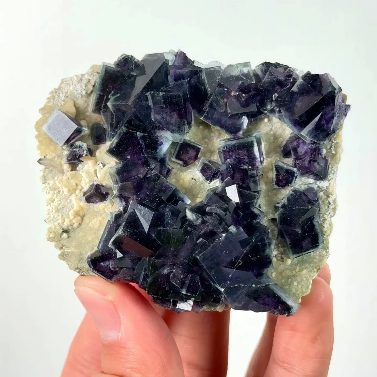 specimen video